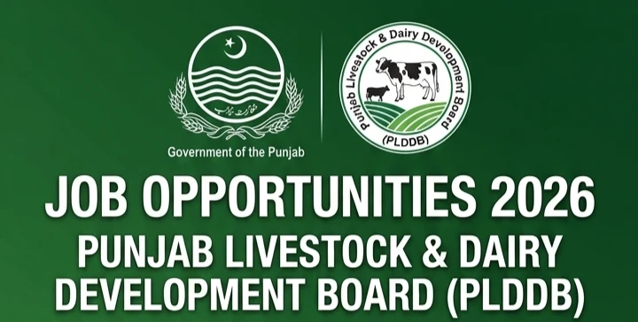 Punjab Livestock and Dairy Development Board Jobs 2026