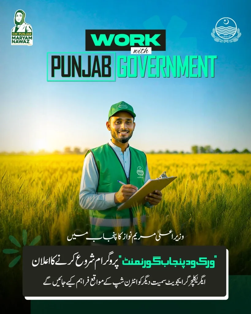 Work with Punjab Government (WWPG) 2026