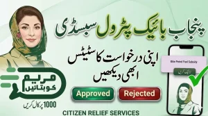 Maryam Ko Batain Online Status Check 2026: Track Your Application via CNIC
