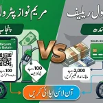 ​Punjab vs Sindh Petrol Subsidy 2026