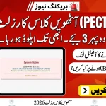 PECTAA 8th Class Result 2026: Dealing with Website Crashes and Official Updates
