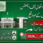 Nawaz Sharif School of Eminence Jobs 2026