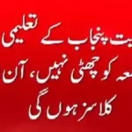 Punjab Schools and Colleges Shift to Online Classes on Fridays